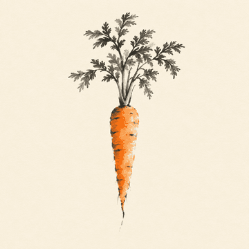 Carrot