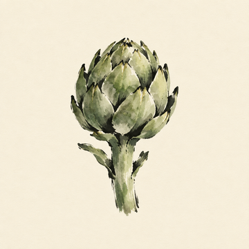 Artichoke