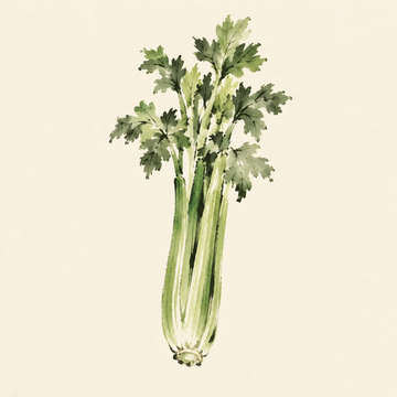 Celery
