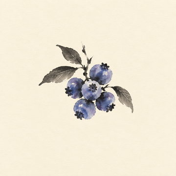 Blueberry