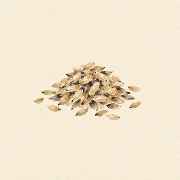 Brown rice