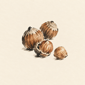 Hazelnut