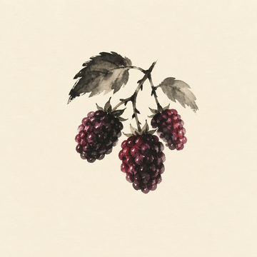 Boysenberry