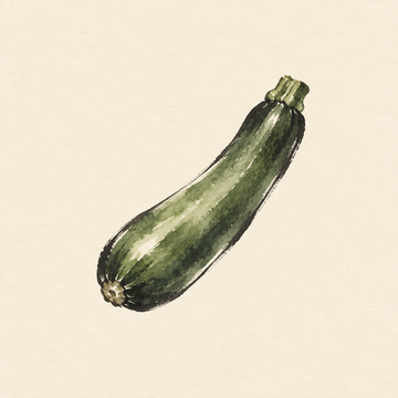 Zucchini