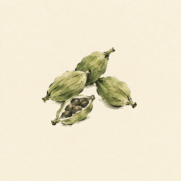 Cardamom