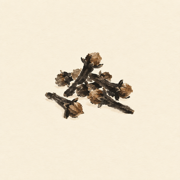 Clove