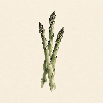 Asparagus