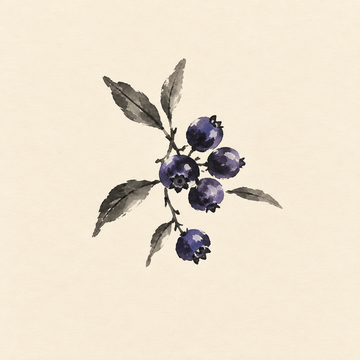 Huckleberry