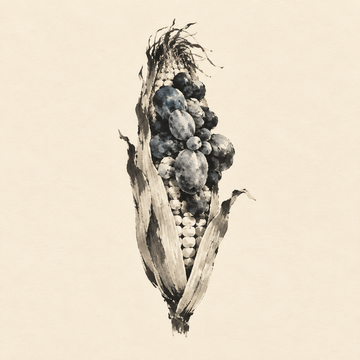 Huitlacoche