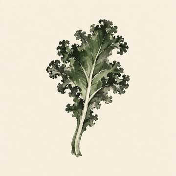 Kale