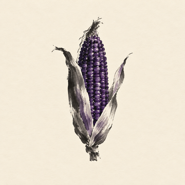 Purple corn