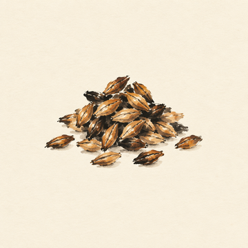 Toasted malt