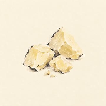 Cacao butter