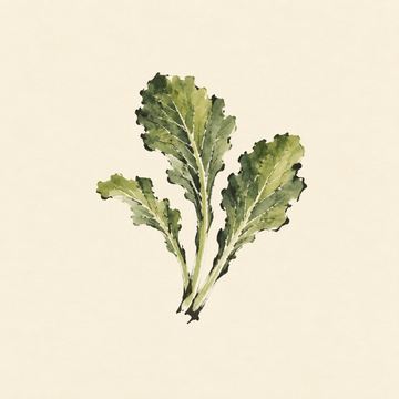 Mustard greens
