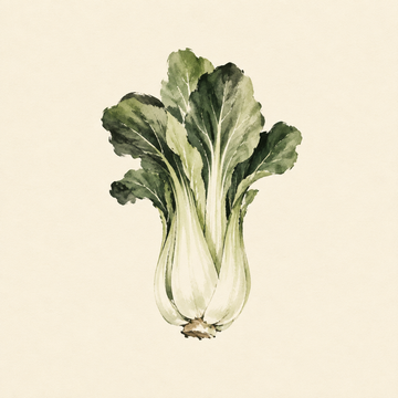 Pak choi