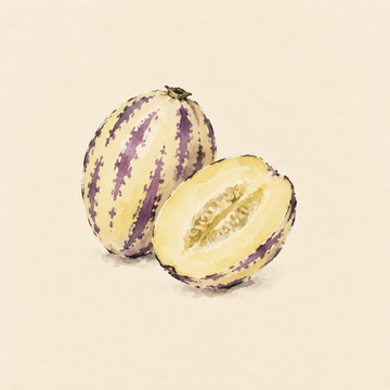 Pepino melon