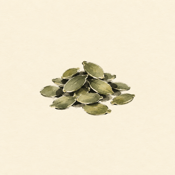 Pumpkin seeds