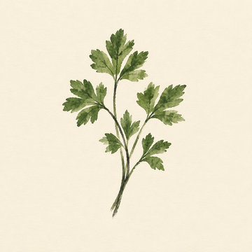 Parsley
