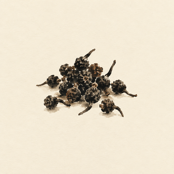Cubeb pepper