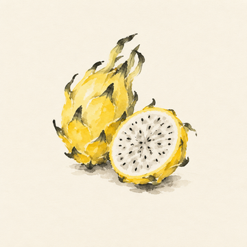 Yellow dragon fruit