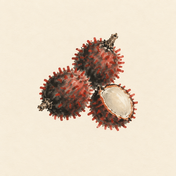 Pulasan