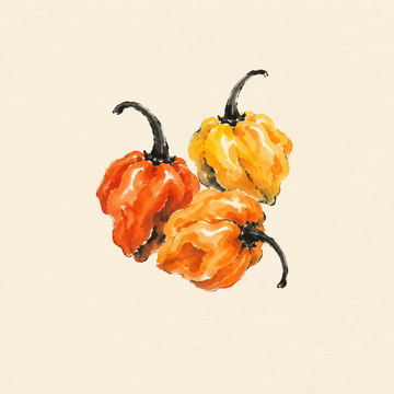 Scotch bonnet