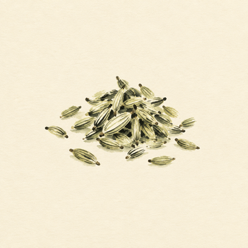 Fennel seed