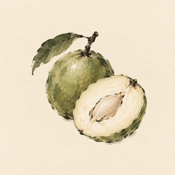 White sapote